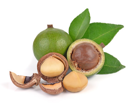 Noci di Macadamia: Proprietà e Benefici