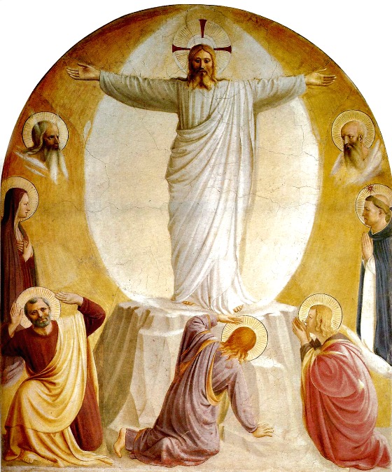 Ma allora questa Legge, vale o non vale?