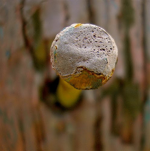 Il blog di curiosità e domande sulla vita quotidiana