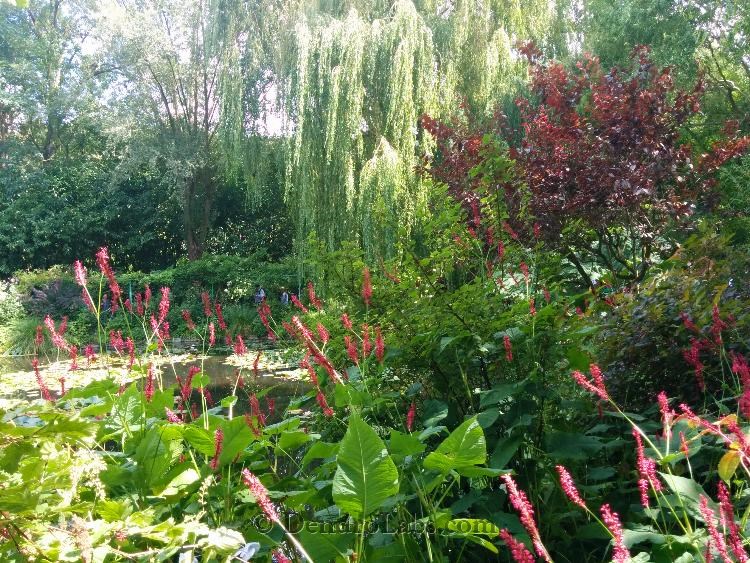 Alla scoperta del giardino di Monet presso la tenuta di Giverny