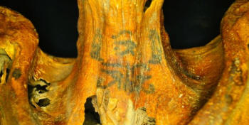 Egitto Antico: scoperta una mummia con trenta tatuaggi religiosi