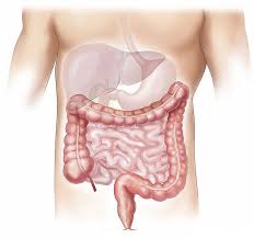 Rimedi naturali per la sindrome dell'intestino irritabile (IBS)