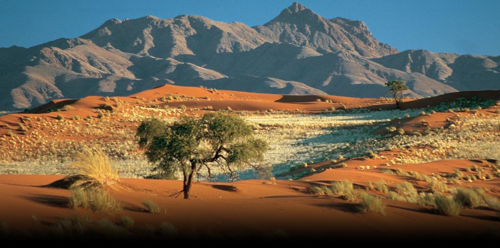 21 marzo 1990: La Namibia ottiene l’indipendenza dopo anni di guerra
