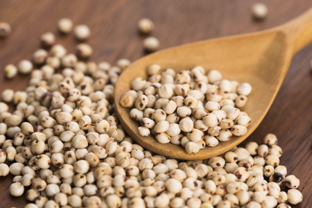 Sorgo proprietà e benefici